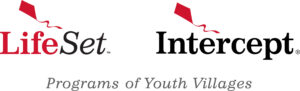 Youth Villages